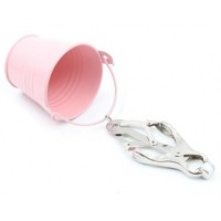 Серебряные клипсы на соски с розовыми ведерками Серебряные клипсы на соски с розовыми ведерками