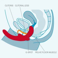Безремневой страпон с вибрацией Fun Factory Sharevibe розовый