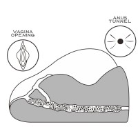 Реалистичный мастурбатор Streetgirls 1 Lovetoy Реалистичный мастурбатор Streetgirls 1 Lovetoy