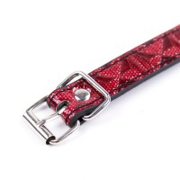 Кляп-шар на дизайнерском красном ремне Кляп-шар на дизайнерском красном ремне