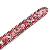 Кляп-шар на дизайнерском красном ремне Кляп-шар на дизайнерском красном ремне