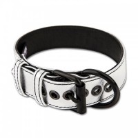 Ошейник с поводком на цепи Bondage Fetish Black Matt Collar With Leash серебристый