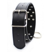 Ошейник с металлическими заклепками и поводком