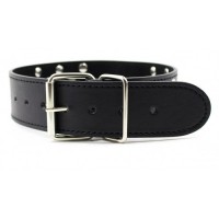 Ошейник с металлическими заклепками и поводком