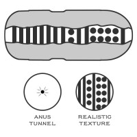 Мастурбатор попка в колбе Sex In A Can Anus Lotus Tunnel