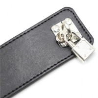 Ошейник БДСМ на замочке с поводком Ошейник БДСМ на замочке с поводком