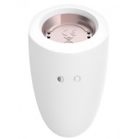 Набор из четырех игрушек Satisfyer Marvelous Four Vibrator & Air Pulse Set