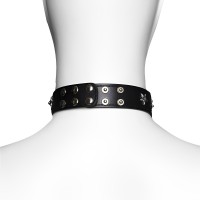 Ошейник декорированный звездами Ошейник декорированный звездами