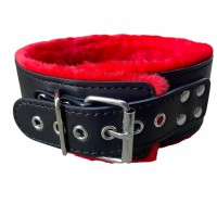 Черный ошейник с красным мехом и поводком Черный ошейник с красным мехом и поводком