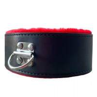 Черный ошейник с красным мехом и поводком Черный ошейник с красным мехом и поводком