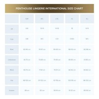 Сексуальное боди в сетку Penthouse Go Hotter S/L