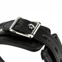 Мягкий ошейник с поводком черный Мягкий ошейник с поводком черный