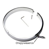 Ошейник из стали с клипсами для сосков