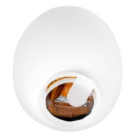Мастурбатор яйцо Tenga Egg Shiny Pride Edition