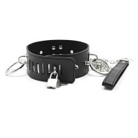 Черный ошейник с кольцами на поводке