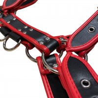 Мужская черно-красная сбруя с заклепками