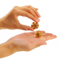 Вагинальные шарики Passion me Вагинальные шарики Passion me