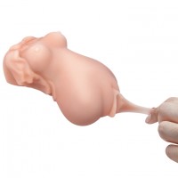 Мастурбатор мини-торс вагина Passion Lady Мастурбатор мини-торс вагина Passion Lady