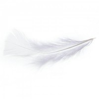 Игра «50 оттенков страсти», компактная версия Игра «50 оттенков страсти», компактная версия