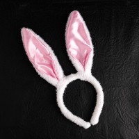 Эротический набор «Ахи-вздохи. Девушка-плейбой», 10 карт, 18+