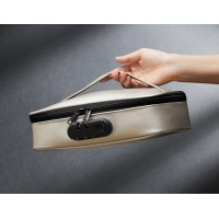 Сумочка для хранения игрушек Discreet Box Luxury Gold