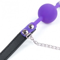 Силиконовый кляп пурпурный и зажимы для сосков Силиконовый кляп пурпурный и зажимы для сосков