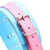 Ошейник розово-голубой с поводком на цепи