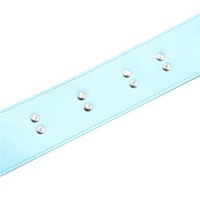 Ошейник розово-голубой с поводком на цепи