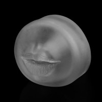 Вакуумная помпа автоматическая Maximizer Worx VX5 Rechargeable Mouth Black Вакуумная помпа автоматическая Maximizer Worx VX5 Rechargeable Mouth Black