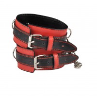 Бондажный набор Taboo Accessories Extreme Set №16