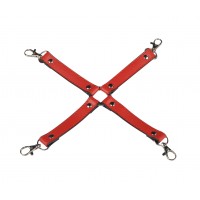 Бондажный набор Taboo Accessories Extreme Set №16