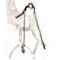 Кляп-кольцо с зажимами для сосков