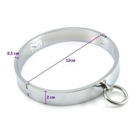 Ошейник стальной женский BDSM Female Collar