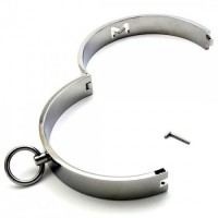 Ошейник стальной женский BDSM Female Collar