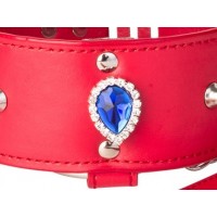 Ошейник БДСМ с кольцом и поводком красный