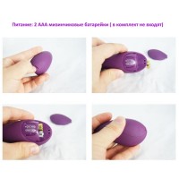 Клиторальный стимулятор Fabulous Pleasure Клиторальный стимулятор Fabulous Pleasure